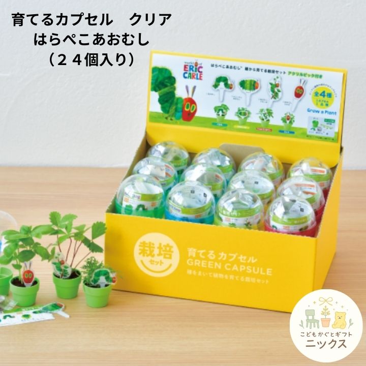 アウトレットワゴンコーナー