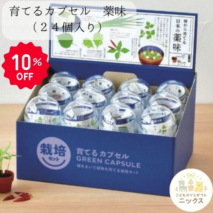 父の日特集