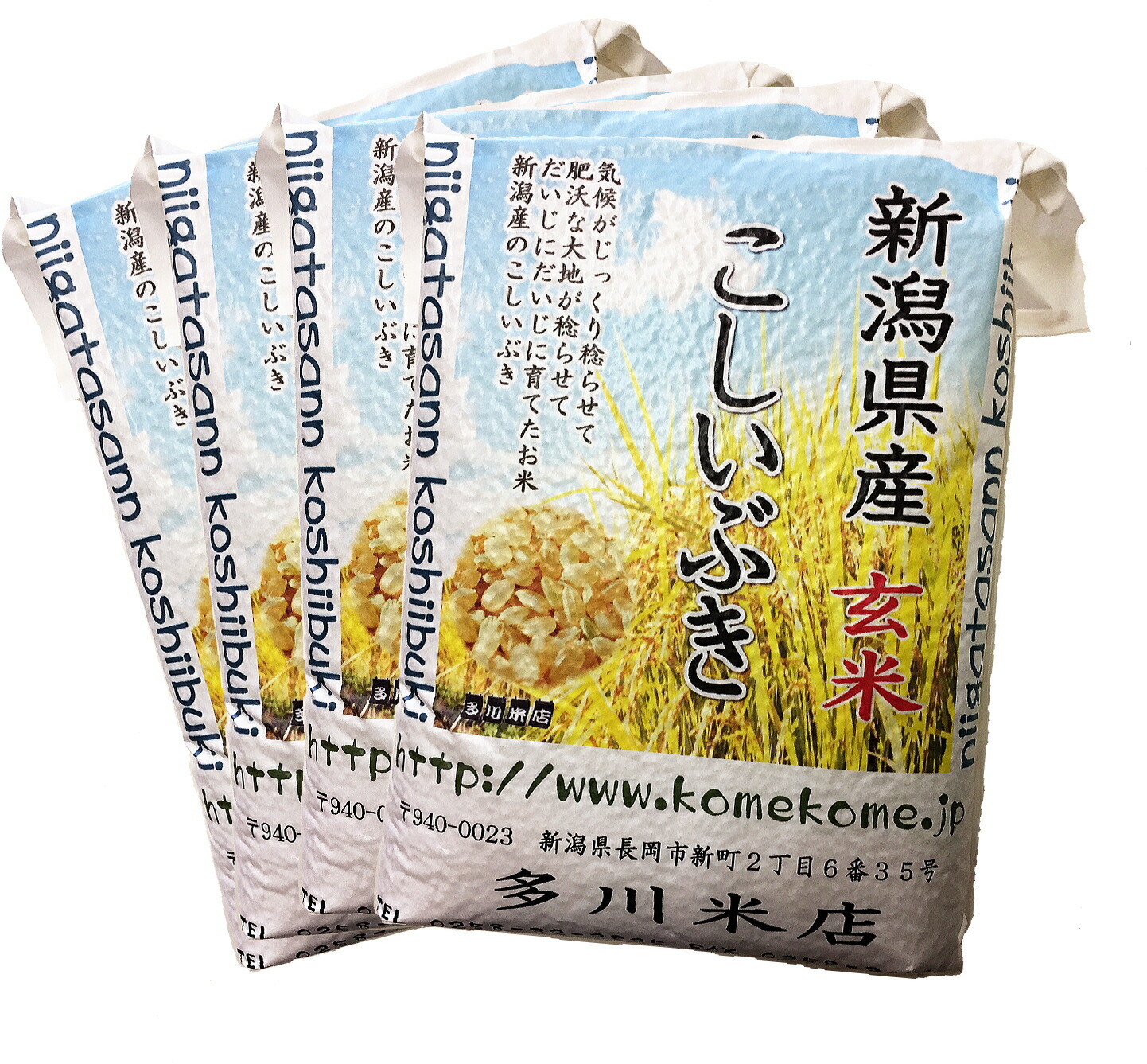 無意味さ風呂敷き包みで火急の 格納飯 にも 命合同3年令 新手 新潟県産出 こしいぶき玄米 kg 5kg 4カバン 真空パック 令和3年産 3年度産 新潟産 新潟米 こしいぶき玄米 玄米 お米 おいしいお米 管理米 kg キログラム 真空パック 素適 おいしい 米 お米 一郭削る