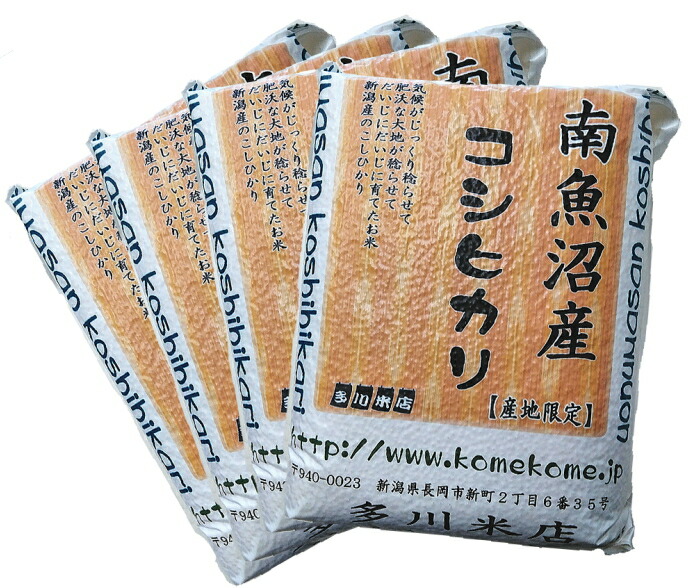 真空パック米 福井県産 コシヒカリ 10kg 楽天市場】《真空パックで非常時の 備蓄米 にも》令和6年 新潟県