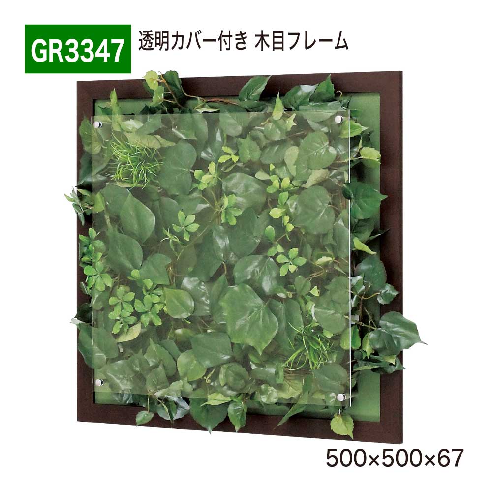 ウォールグリーン フェイクグリーン 500×500×67 木目フレーム 透明板 アクリル パネル フレーム 額装 壁 直付け ひも掛け 人工観葉植物 造花 装飾 オフィス クリニック エントランス ロビ 店舗 受付 商業施設 インテリア 国産 BELK GreenMode 【正規代理店】 ベルク GR3347|Nice7 店