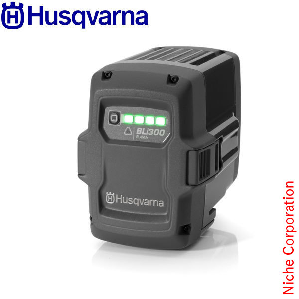 楽天市場】エコー 50V リチウムイオン 2Pバッテリー LBP-50-250G