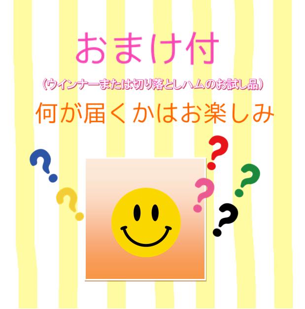 400本 送料無料 一部地域を除く ソーセージ バーベキュー フランクフルト 65g おまけつき 文化祭 バザー ソーセージ 行楽 フランクフルト 送料無料 一部地域を除く 子供会 業務用 イベント 学園祭 祭り