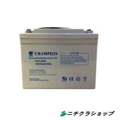 ＲＣＭ床洗浄機 ＢＩＴ（ビット）用 シールドバッテリー ２個１セット　【RCP】