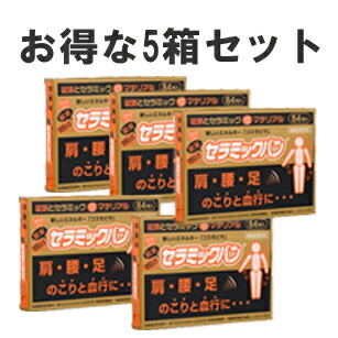 陶器ヴァン 84粒 5箱お得SET 磁気 50mT