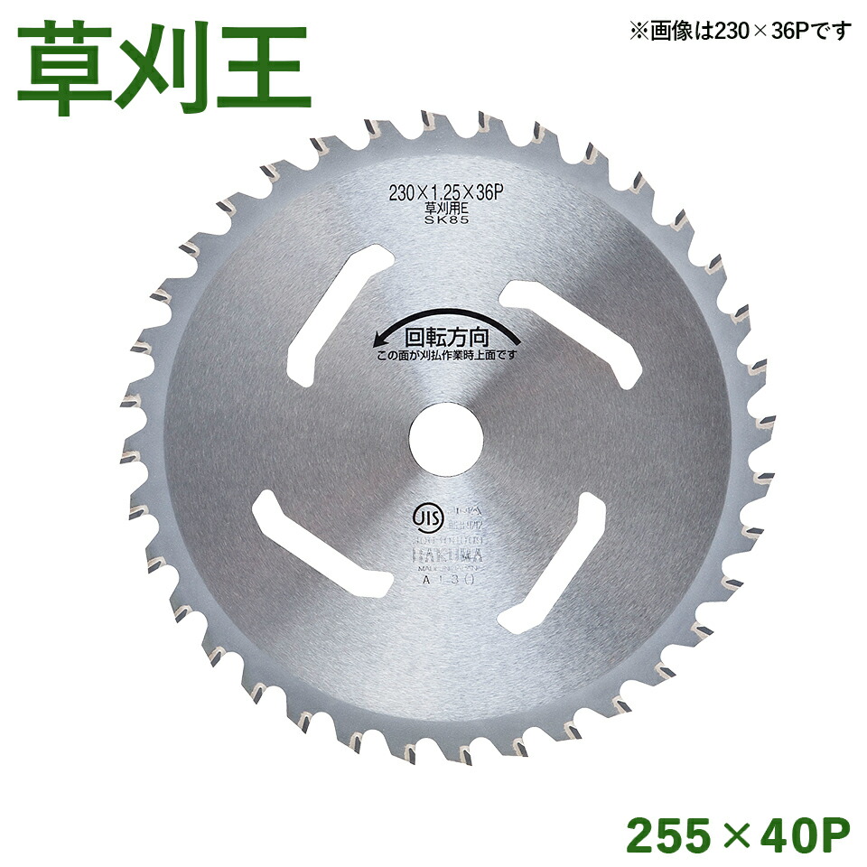 imgrc0088314842.jpg