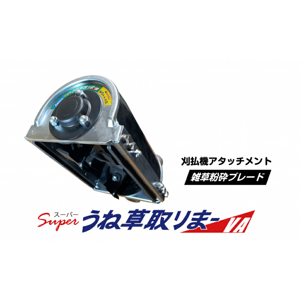 現地購入単勝馬券　アドマイヤベガ　ラミネート加工済み imgrc0095594392.jpg