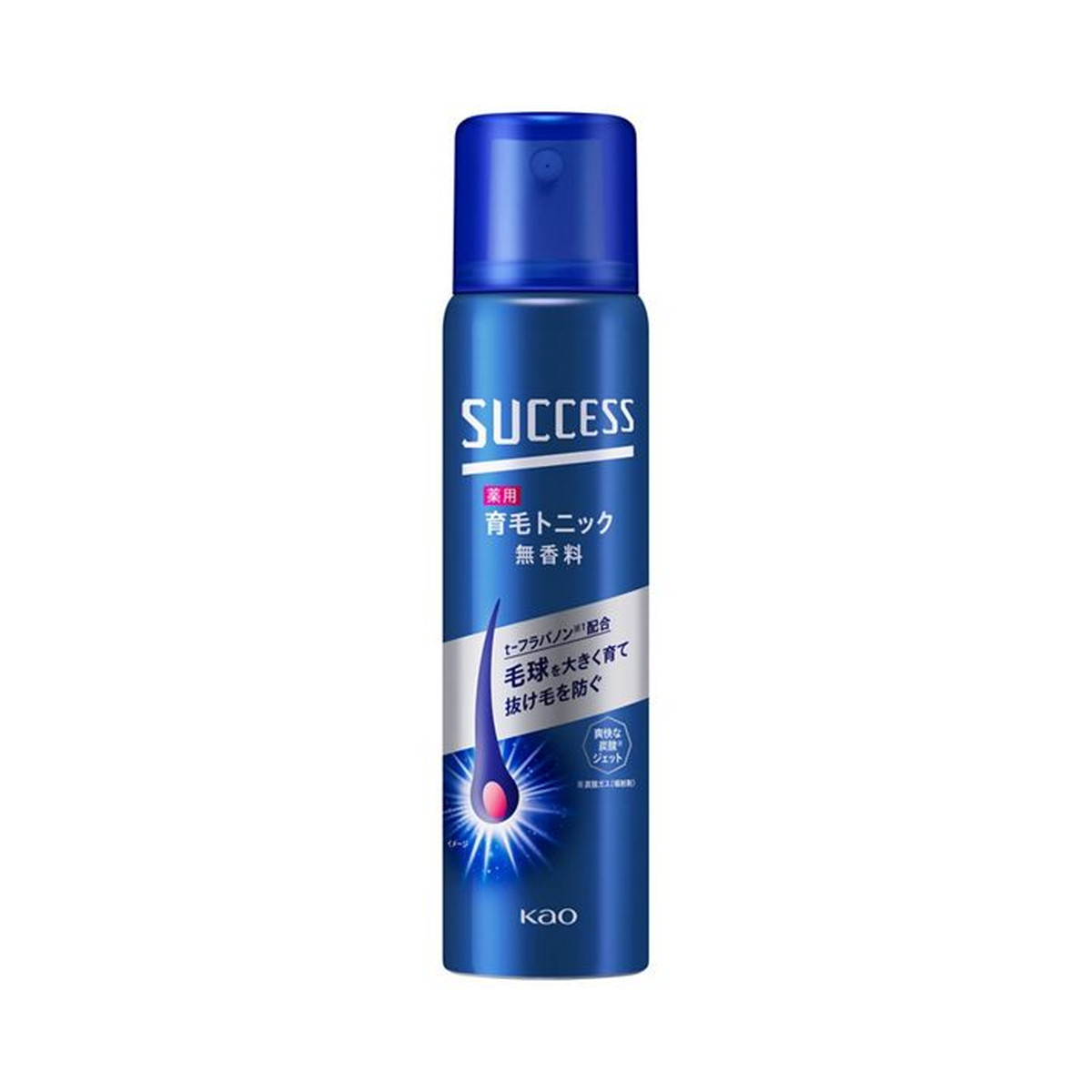 6～10個セット まとめ買い 花王 サクセス 薬用育毛トニック 無香料 小 73g