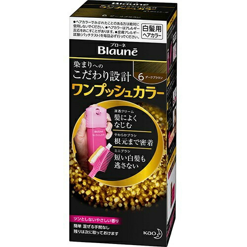 6～10個セット まとめ買い 花王 ブローネ ワンプッシュカラー 6 ダークブラウン 80g
