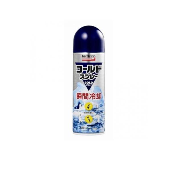 6～10個セット まとめ買い ニチバン コールドスプレー 220mL CS220 6,378円