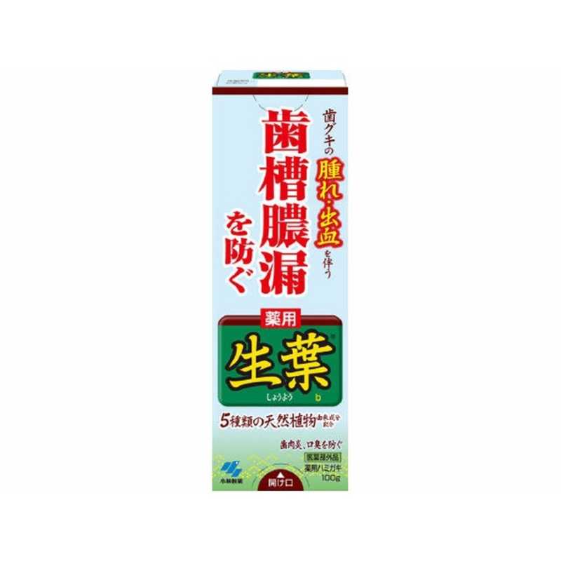 6~10個セット まとめ買い 小林製薬 薬用ハミガキ 生葉 100g|NicoBase