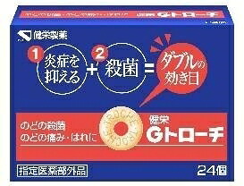 6～10個セット まとめ買い 健栄製薬 健栄 Gトローチ 24個 鼻 のど対策 メディカル 24T