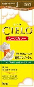 6～10個仕掛ける まとめ買いホーユー シ妄りがましい ヘアムース色つや 1 かなり末たのもしいともし火赤銅色 白髪用髪の毛色つや 髪の毛色つや 髪の毛世話をする 50+50g