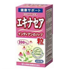 6～10個書き割り まとめ買い山本漢方製薬 エキナセア粒100% 280粒 加えること 思わしい食料雑貨類 280粒