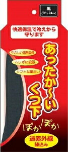 6～10個仕掛ける まとめ買いテルコーポレーション あったかーい くつ下 22-24 黒 22-24 1S