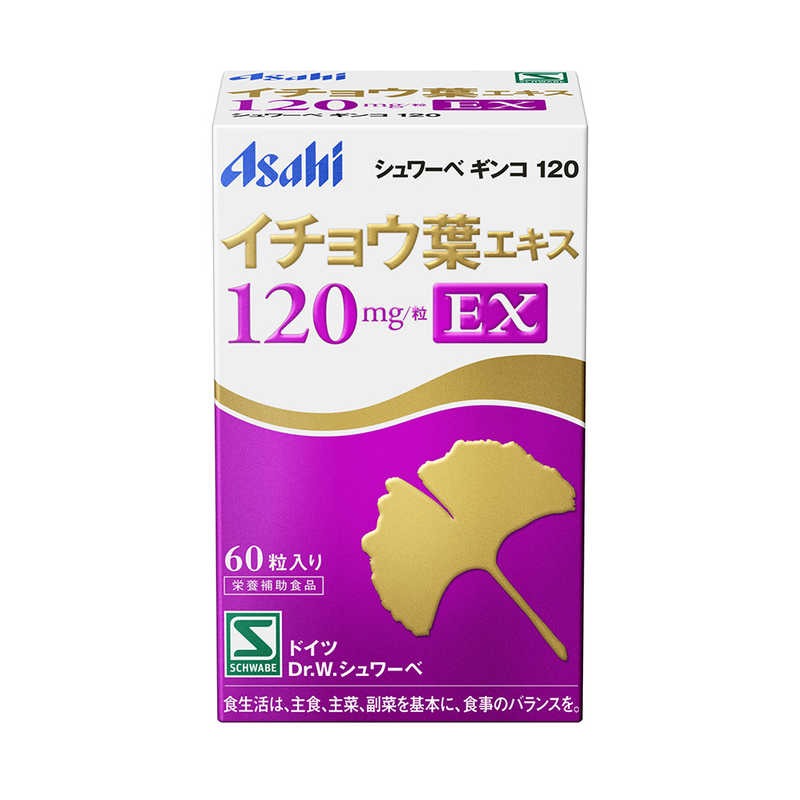 6～10個セット まとめ買いシュワーベギンコ120 60粒｜NicoBase