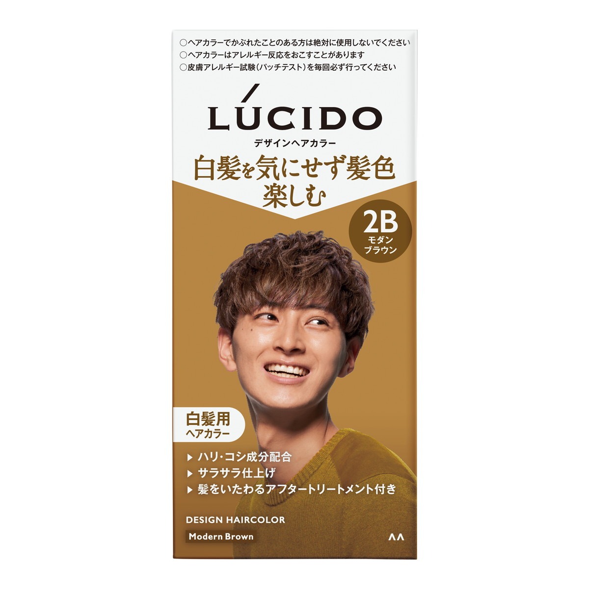 6～10個仕掛ける まとめ買いマンダム LUCIDO ルシード デザインヘアカラー 2B 今めかしい赤銅色 白髪用 髪の毛色合い 成人男性用 1個