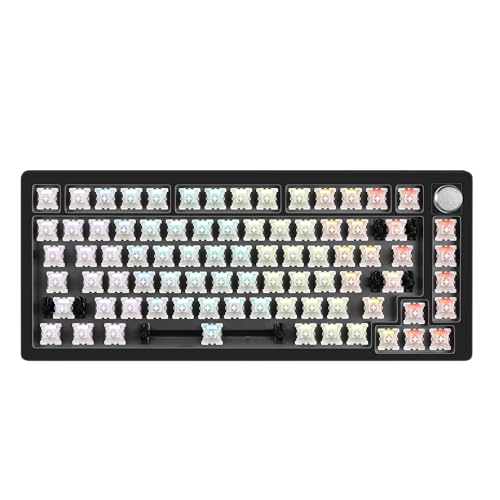 DrunkDeer A75 ラピッド銃の引き金 鍵盤 力学的 TKL ゲーミング 磁気取り替えっこ RGB 弾丸道路化学反応 有線 USB コンパク