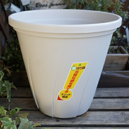 楽天市場 スリット鉢 10号 根はり鉢１０号 ホワイト スリット鉢 鉢 スリット プランター おしゃれ ミニトマト ピーマン オクラ Nicoco プランター菜園を楽しむ会