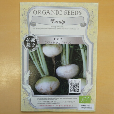 Artificial WhiteTurnip