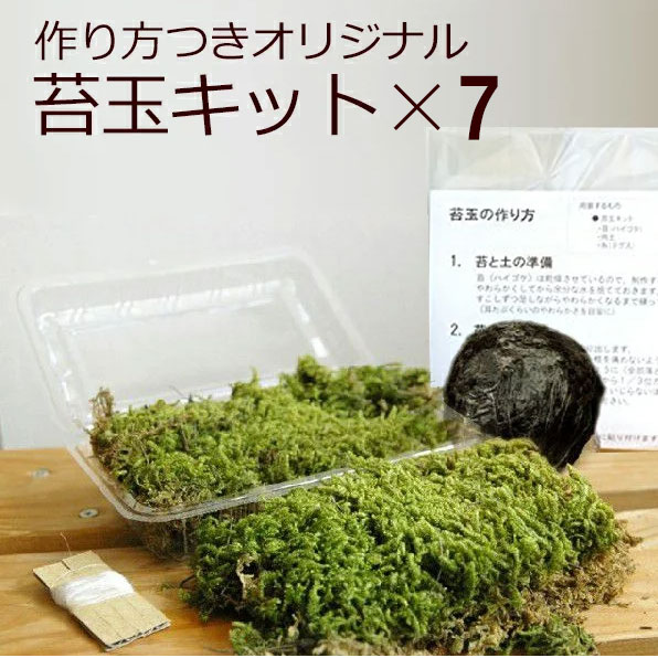 楽天市場】苔玉キット つくり方説明書付 ハイゴケ 手作り 初心者 こけだまの材料 かんたん作成キット 苔・苔玉用に配合した土・糸 イベント 苔 こけ  コケ コケダマ こけ玉 ハンドメイド 苔玉作成キット : みどり屋 和草 楽天市場店