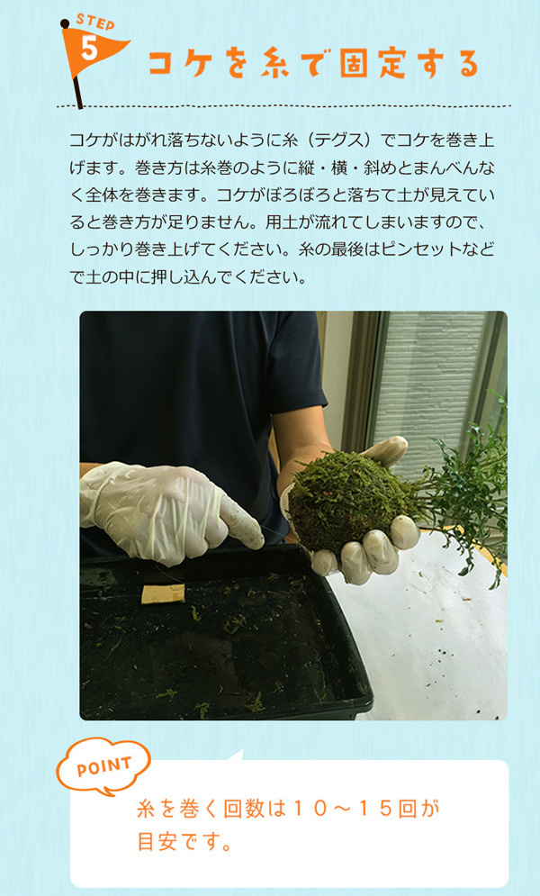 苔玉一揃いの道具 セット つくり人称言表わす資料 ご機嫌ゴケ 手作り 青い人 こけだまの原料 かんたん創るキット 苔 苔玉掛りに合するした土地 糸 イベント 法人向け 豊か詰めよる Daemlu Cl