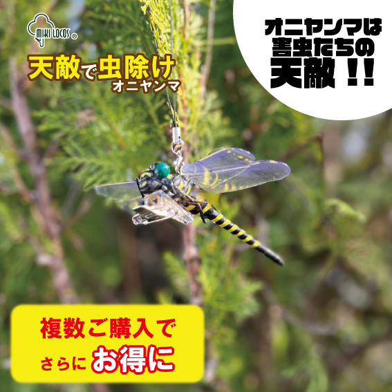 圧倒的人気 本日発送  【MM3XIMIWYD5】 限定デザイン