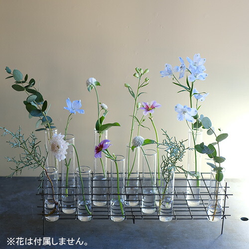 楽天市場 ウェストヴィレッジ Bird S Nest L フラワーベース 一輪挿し ギフト プレゼント お祝い かわいい 結婚祝い 新築祝い 贈り物 おしゃれ 引越し祝い 誕生日プレゼント 記念日 インテリア 小さめ 小さい 透明 筒型 花器 器 雑貨 円柱 花瓶 かびん 花びん 硝子