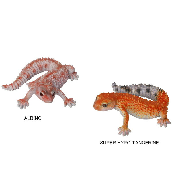 REPTILES MAG LEOPARD GECKO BABY インテリア 雑貨 飾り 置物 置き物 オブジェ