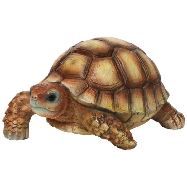 REPTILES MAG SPURRED TORTOISE BABY インテリア 雑貨 飾り 置物 置き物 オブジェ