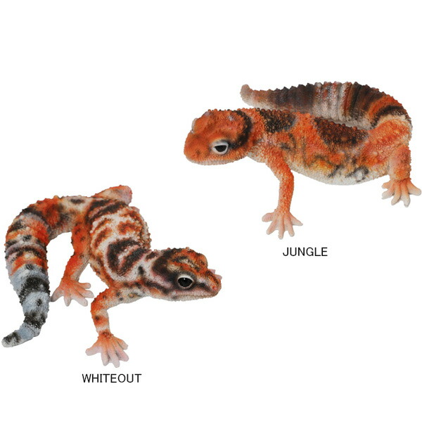 REPTILES MAG AFRICAN FAT TAILED GECKO インテリア 雑貨 飾り 置物 置き物