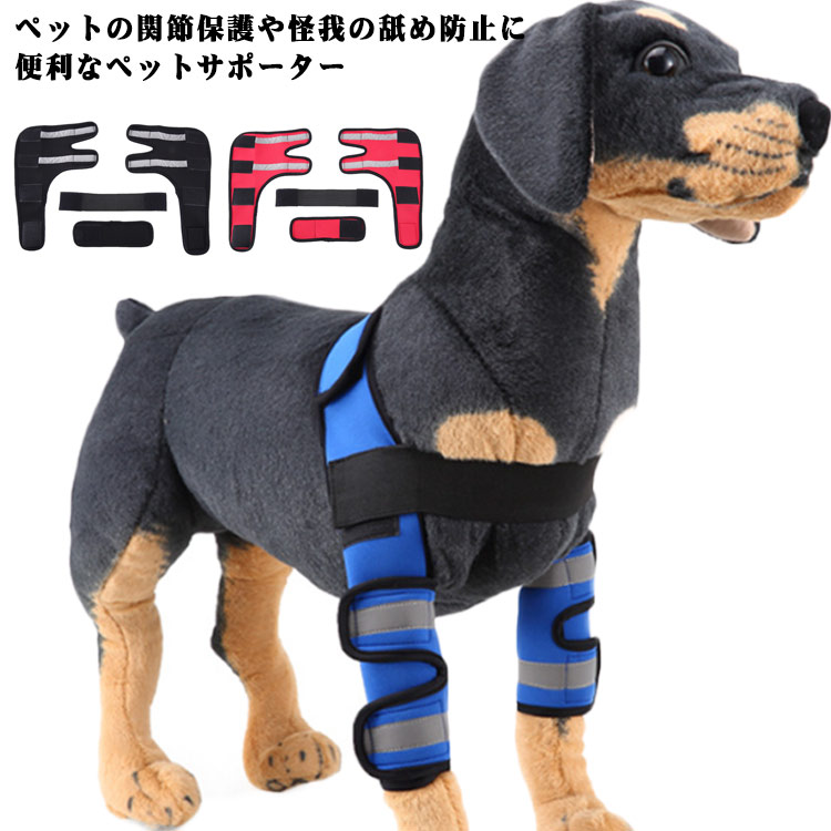 楽天市場】【anifull 公式】 アニサポ ショルダースリーブ 小型