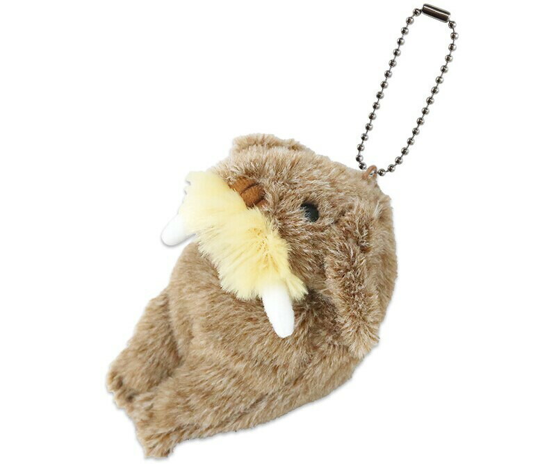 楽天市場】ぬいぐるみ セイウチ 海の生き物 セイウチさんの一日