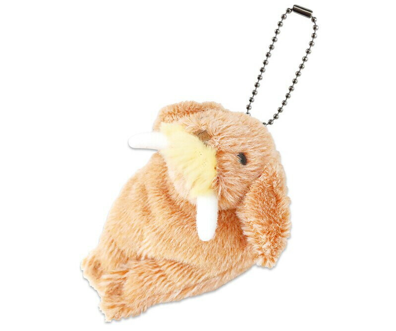 楽天市場】ぬいぐるみ セイウチ 海の生き物 セイウチさんの一日