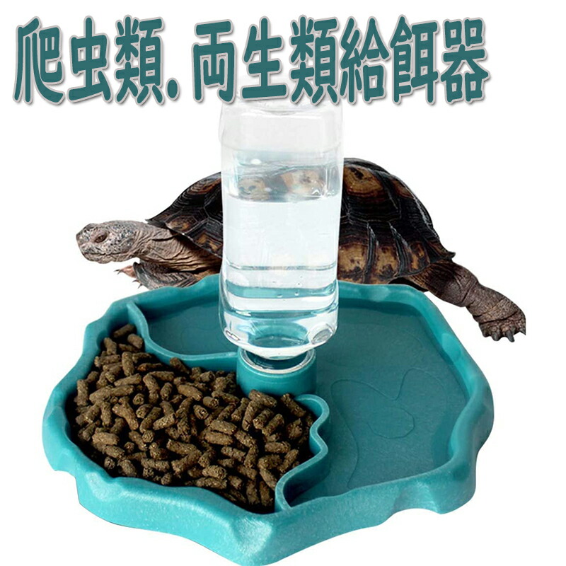 楽天市場】爬虫類 自動給水装置給水器 両生類飼育水入れ餌入れ エサ