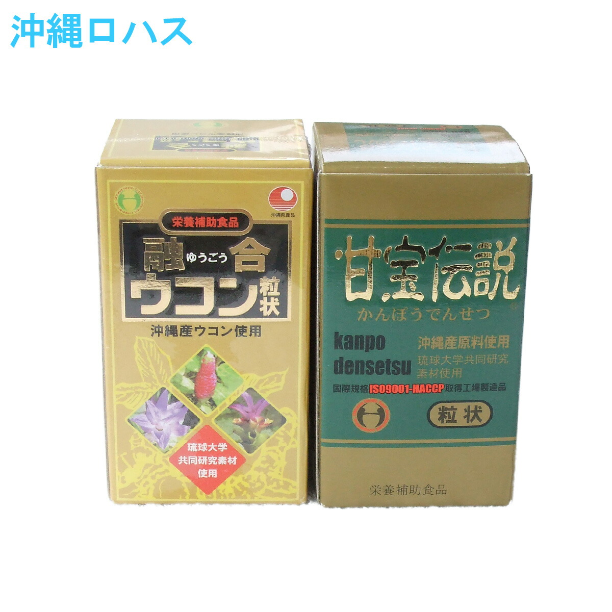 お手製 琉球酒豪伝説セット お酒を飲むとき サプリ お酒を飲む前 お酒を飲んだ後 防腐剤無添加 着色料無添加 健康 サプリ 沖縄 土産 国産 日本製 歓迎会 送迎会 ソーシャルギフト 6,532円