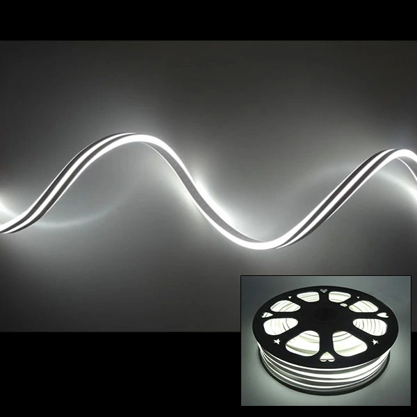 LED フレキシネオンダブルライト30m巻 AFLN-30W 白いこと(選べる色合い) 防雨操作手順 100V 【要店卸し資産突きとめる】