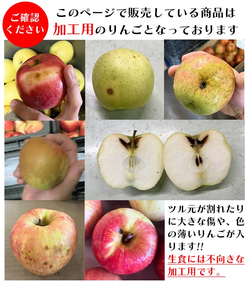 青森県産 加工用 りんご 5kg 10kg 送料無料 激安 品種おまかせ 産地