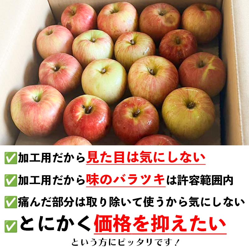 青森県産 加工用 りんご10,20kg 送料無料 激安 品種おまかせ 産地直送