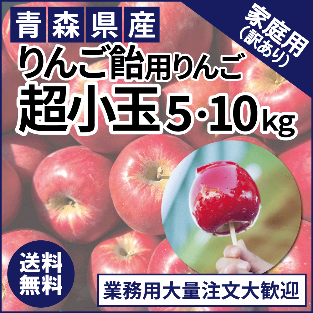りんご飴用りんご 10kg りんご 夏祭り 屋台 小玉 超小玉 サンふじ アルプス乙女 詰め合わせ セット ギフト リンゴ 林檎 王林 サンふじ シナノ りんご飴 リンゴ飴 リンゴアメ 祭 りんご 文化祭 出し物 露店 夜店 売店 スタンド フルーツ飴 56玉 60玉 66玉 りんご飴 業務用