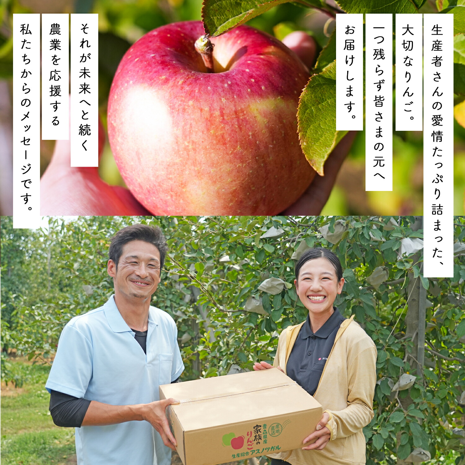 全品390円OFF】祝・グルメ大賞受賞！39セール開催！青森県産 加工用