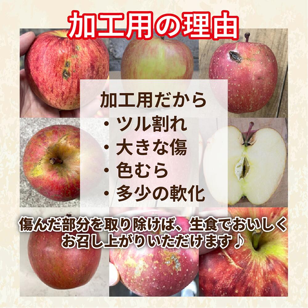 レビューで500円】青森県産加工用りんご サンふじ 品種おまかせ 10