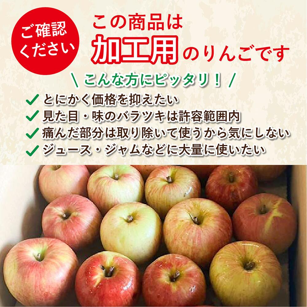 レビューで500円】青森県産加工用りんご サンふじ 品種おまかせ 10