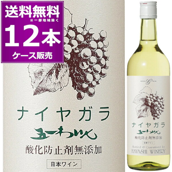 林農園 五一わいん 酸化防止剤無添加 ナイヤガラ 720ml×12本(ケース) 白 甘口 ライトボディ ゴイチワイン 五一ワイン 信州 桔梗ヶ原 長野県 日本ワイン 【送料無料※一部地域は除く】
