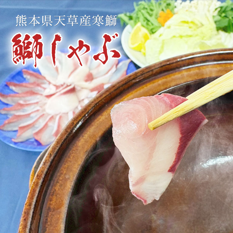 【楽天市場】【直送】 寒鰤 ‐天草名物鰤しゃぶセット‐ お歳暮 年末年始 お正月 お祝い 贈答 ギフト 贈り物 寒ブリ ぶりしゃぶ ...