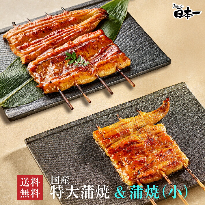 【送料無料】国産 特大蒲焼 140g+うなぎ蒲焼(小) 90gお試しセット/ タレ小袋付/お祝い お礼 内祝 お返し 手土産 ギフト 誕生日 お取り寄せ 鰻 ひつまぶし うな重 国産 贈答 贈り物 グルメ 御中元 敬老の日 [otamesi04]