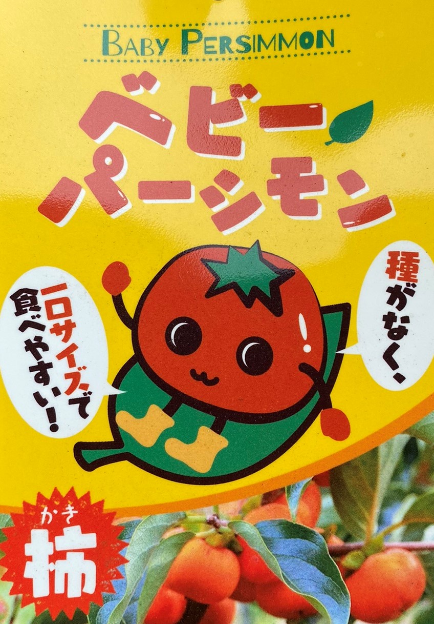 楽天市場】イヌビワ《果樹苗》苗 苗木 庭木 ポット植え : 日本花卉