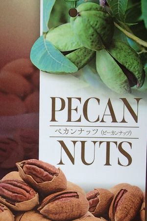 楽天市場】ナッツの木 苗 【ペカン （ウィチタ）】 接ぎ木苗 ピーカン