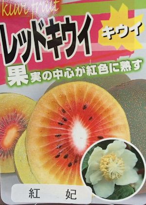 赤キウイフルーツ苗木セット kiui-janboredo01.jpg