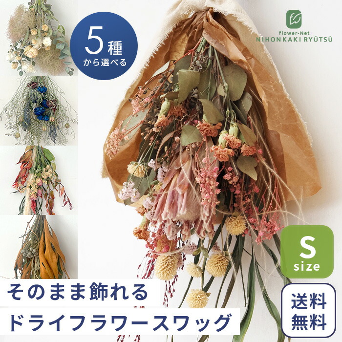 楽天市場】ドライフラワー キングプロテア ピンク インテリア 飾り